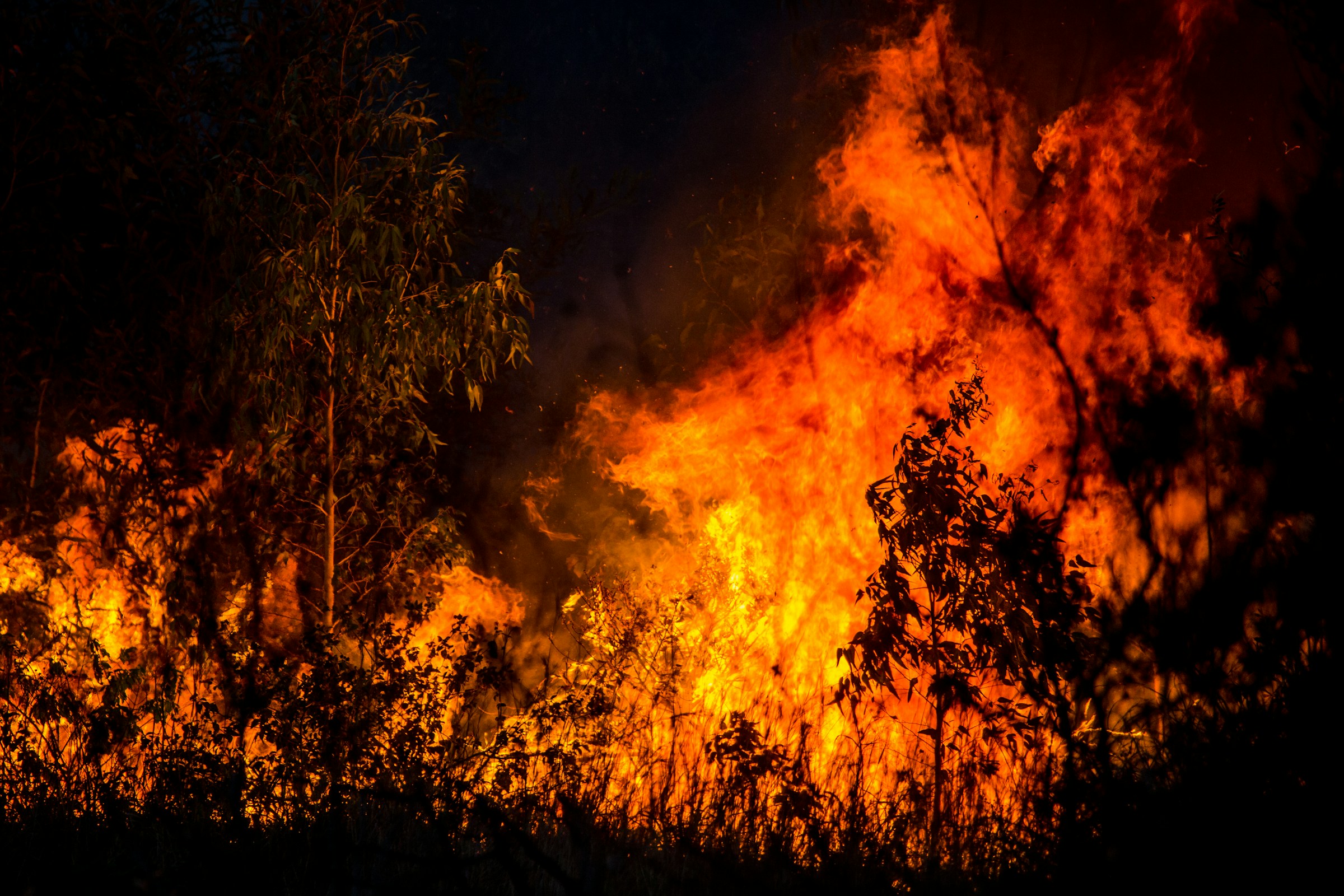 The rich are killing the planet | Communist Revolution